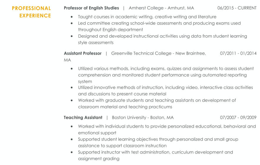 Professor Professional Experience CV Format