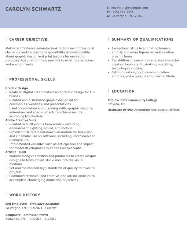 Animator Functional Resume