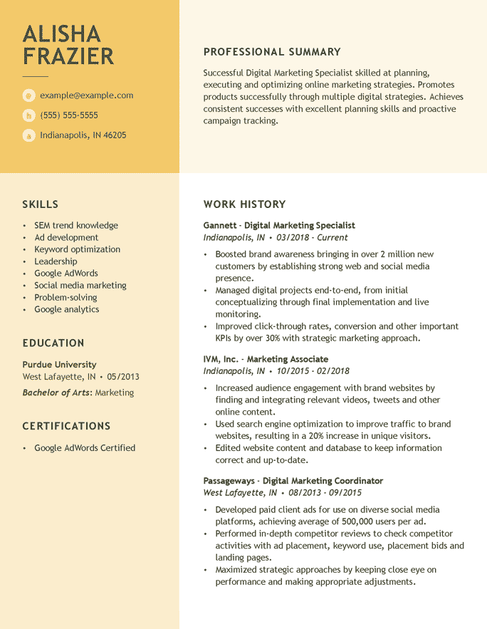 Digital Marketing Specialist Combination Resume Format