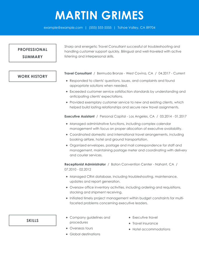 Travel Consultant Resume Format