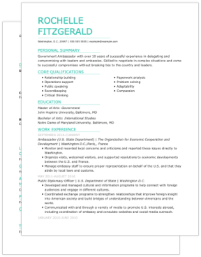 ambassador cv template