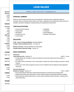 history cv template