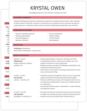 veterinarian cv template