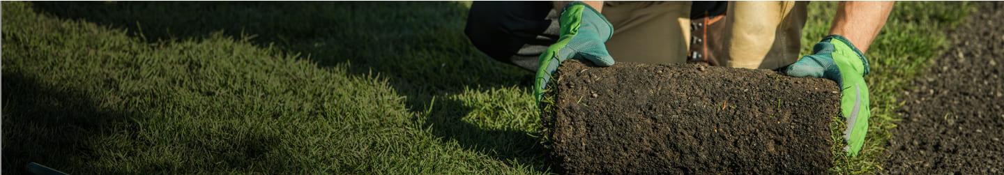 Man placing grass on a yard