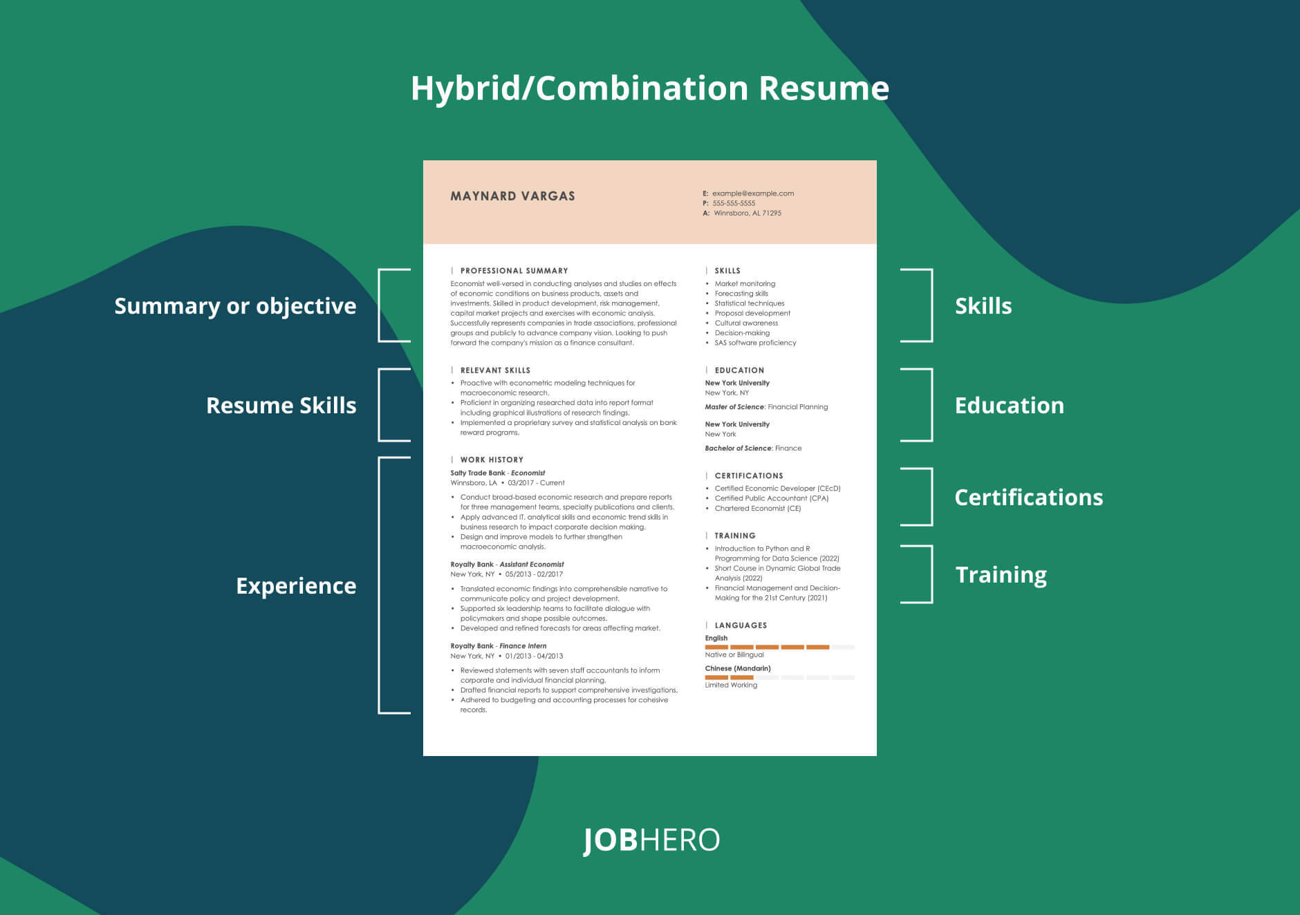 Hybrid/Combination Resume