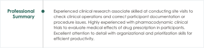 cv summary or objective