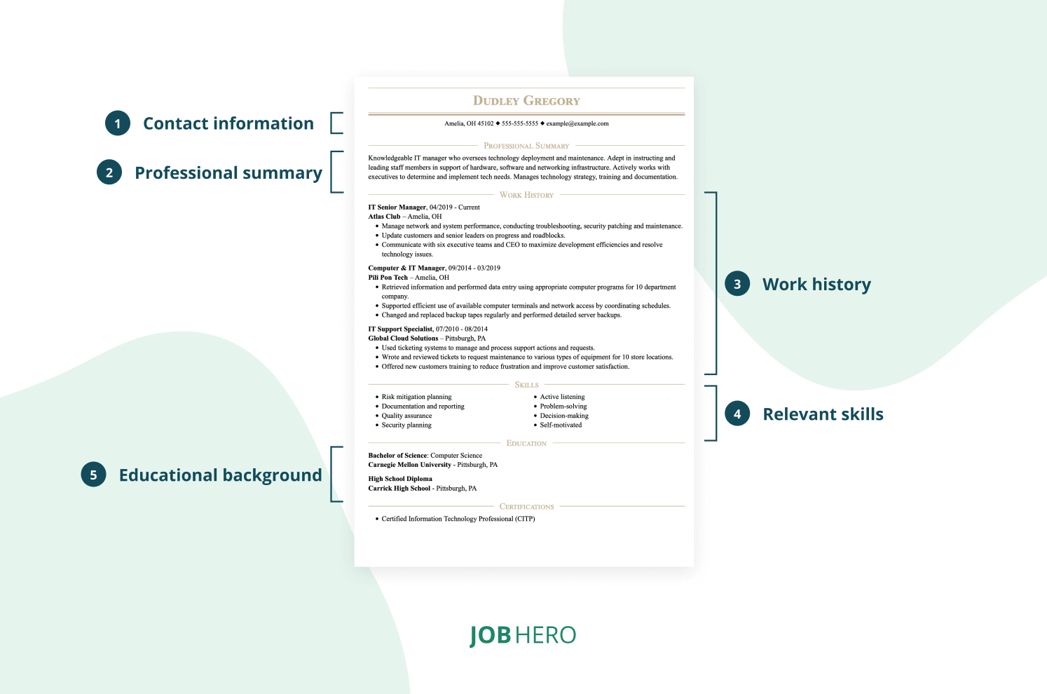 Basic resume image