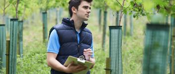 arborist