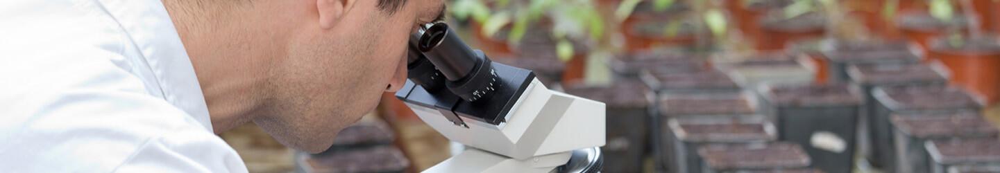 How to Become an <br>Agronomist