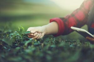 best sample application letter for job Agriculture Farming