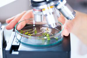 best sample application letter for job Biology