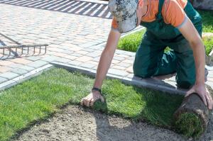 best sample application letter for job landscaping