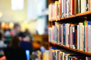 best sample application letter for job library museum