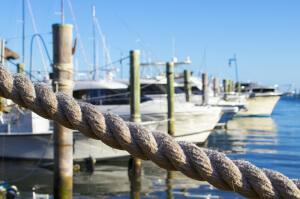 best sample application letter for job marina boating