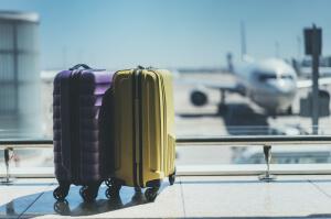best sample application letter for job travel
