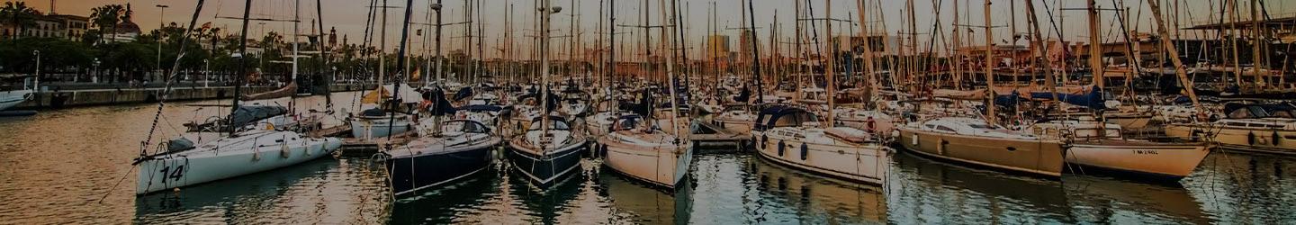 Dozens of boats docked at a marina